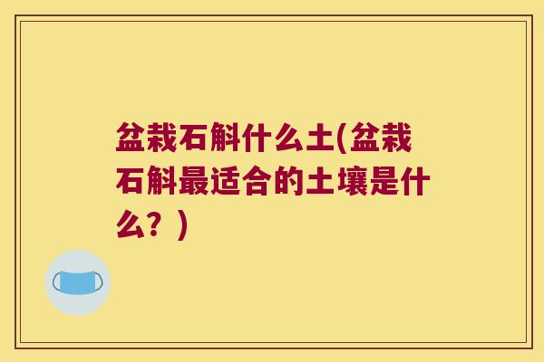 盆栽石斛什么土(盆栽石斛最适合的土壤是什么？)