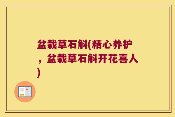 盆栽草石斛(精心养护，盆栽草石斛开花喜人)