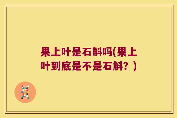 果上叶是石斛吗(果上叶到底是不是石斛?) 果上叶是石斛吗(果上叶到底是不是石斛?)