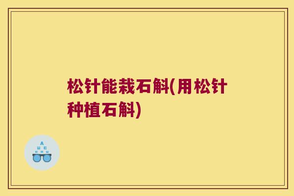 松针能栽石斛(用松针种植石斛)