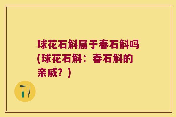 球花石斛属于春石斛吗(球花石斛：春石斛的亲戚？)