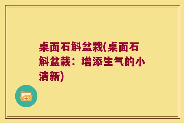 桌面石斛盆栽(桌面石斛盆栽：增添生气的小清新)
