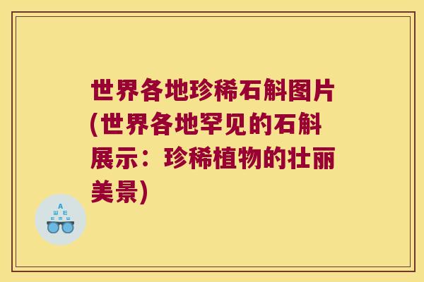 世界各地珍稀石斛图片(世界各地罕见的石斛展示：珍稀植物的壮丽美景)