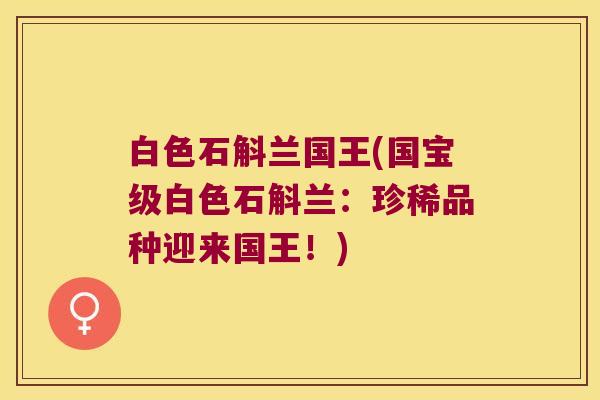 白色石斛兰国王(国宝级白色石斛兰：珍稀品种迎来国王！)