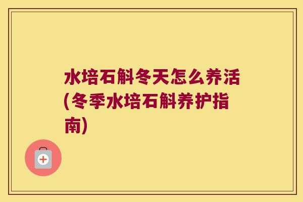 水培石斛冬天怎么养活(冬季水培石斛养护指南)
