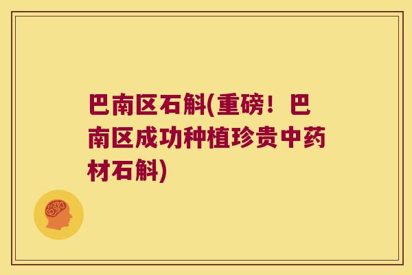 巴南区石斛(重磅！巴南区成功种植珍贵中药材石斛)