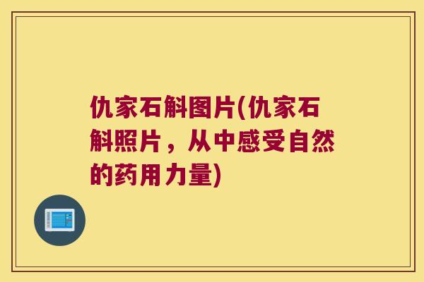 仇家石斛图片(仇家石斛照片，从中感受自然的药用力量)