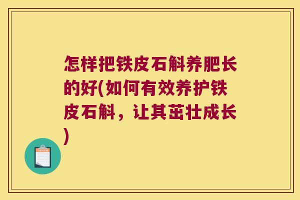 怎样把铁皮石斛养肥长的好(如何有效养护铁皮石斛，让其茁壮成长)