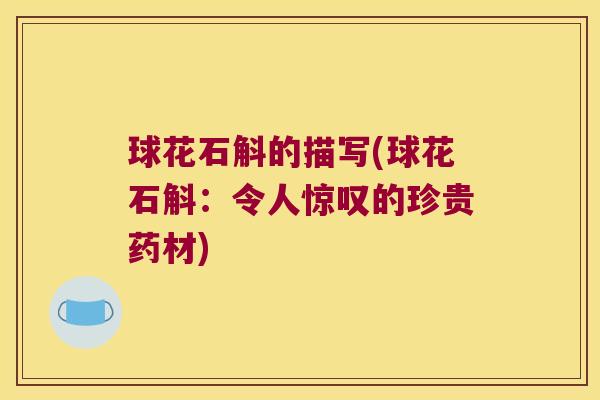 球花石斛的描写(球花石斛：令人惊叹的珍贵药材)