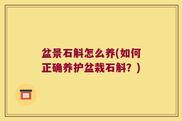 盆景石斛怎么养(如何正确养护盆栽石斛？)