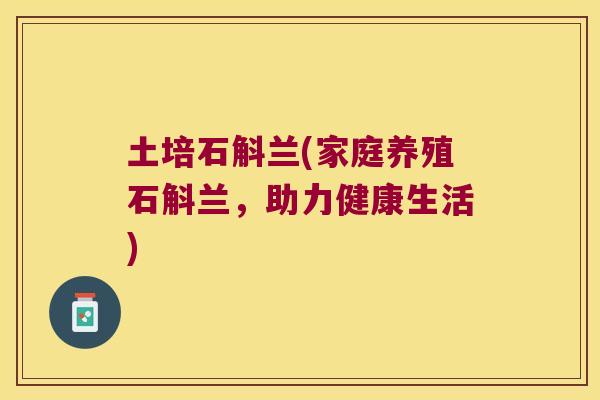 土培石斛兰(家庭养殖石斛兰，助力健康生活)