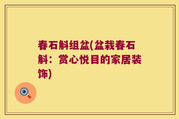 春石斛组盆(盆栽春石斛：赏心悦目的家居装饰)