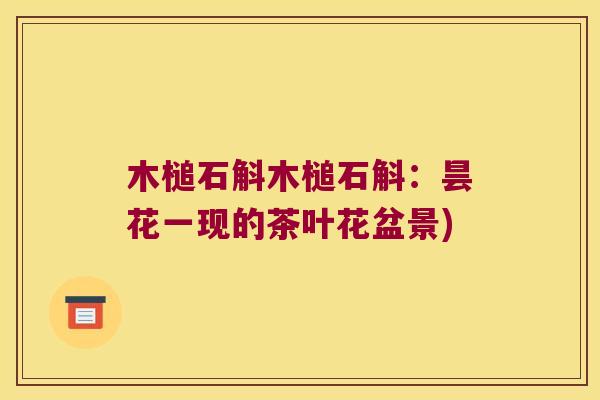 木槌石斛木槌石斛：昙花一现的茶叶花盆景)