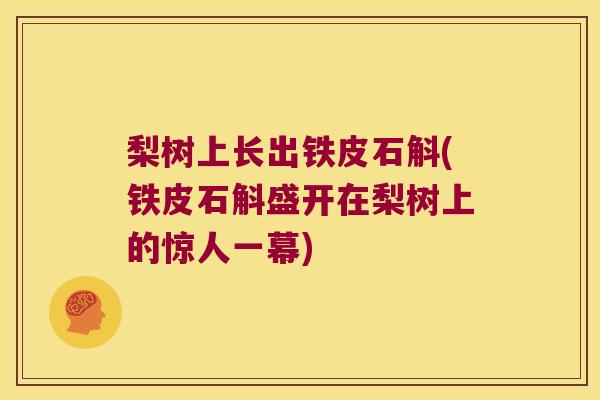 梨树上长出铁皮石斛(铁皮石斛盛开在梨树上的惊人一幕)