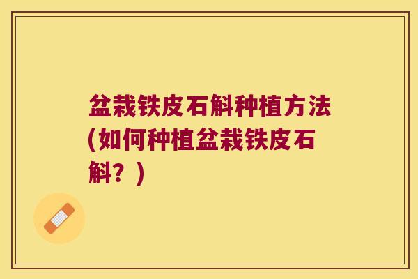 盆栽铁皮石斛种植方法(如何种植盆栽铁皮石斛？)