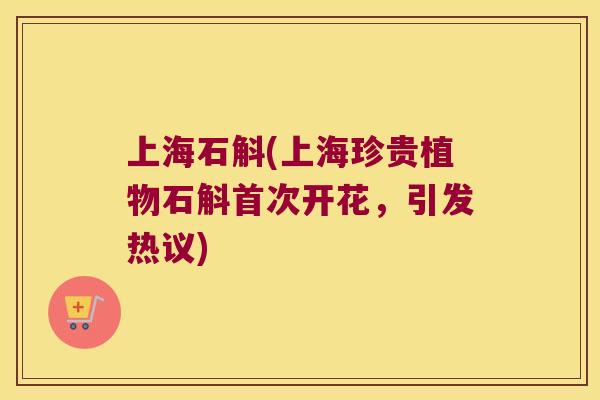 上海石斛(上海珍贵植物石斛首次开花，引发热议)