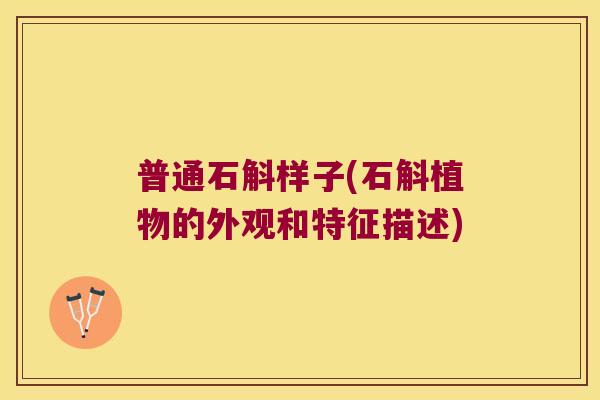 普通石斛样子(石斛植物的外观和特征描述)