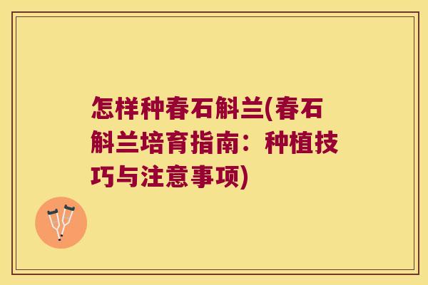 怎样种春石斛兰(春石斛兰培育指南：种植技巧与注意事项)