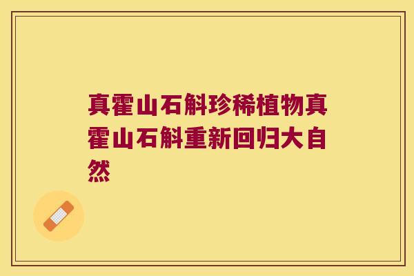 真霍山石斛珍稀植物真霍山石斛重新回归大自然