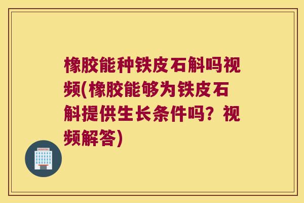 橡胶能种铁皮石斛吗视频(橡胶能够为铁皮石斛提供生长条件吗？视频解答)