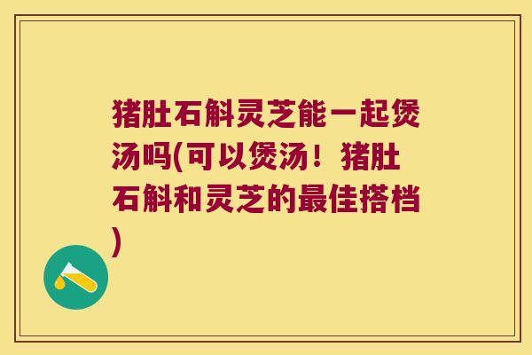 猪肚石斛灵芝能一起煲汤吗(可以煲汤！猪肚石斛和灵芝的佳搭档)