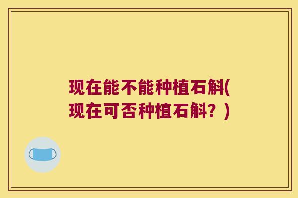 现在能不能种植石斛(现在可否种植石斛？)