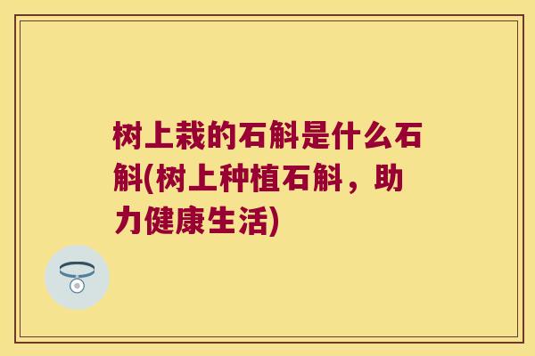 树上栽的石斛是什么石斛(树上种植石斛，助力健康生活)