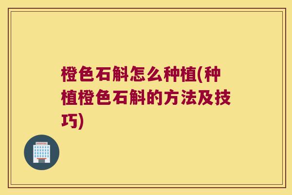 橙色石斛怎么种植(种植橙色石斛的方法及技巧)