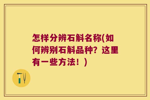 怎样分辨石斛名称(如何辨别石斛品种？这里有一些方法！)