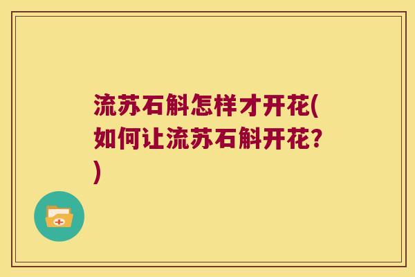 流苏石斛怎样才开花(如何让流苏石斛开花？)