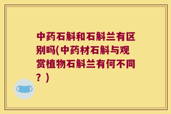 石斛和石斛兰有区别吗(材石斛与观赏植物石斛兰有何不同？)