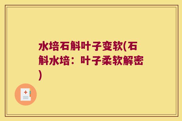 水培石斛叶子变软(石斛水培：叶子柔软解密)