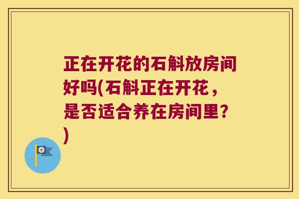 正在开花的石斛放房间好吗(石斛正在开花，是否适合养在房间里？)