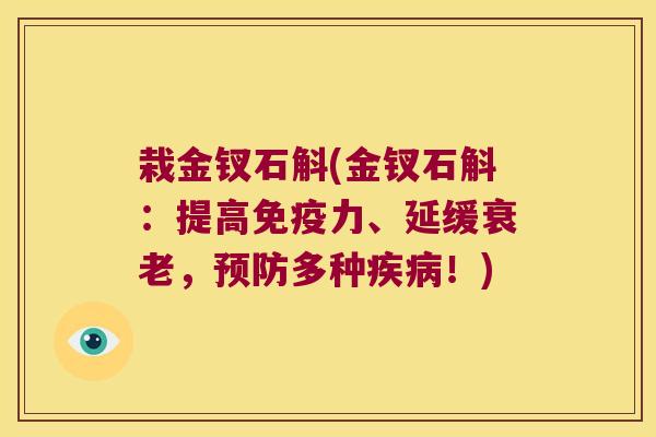 栽金钗石斛(金钗石斛：提高免疫力、延缓衰老，预防多种疾病！)