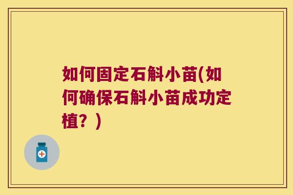 如何固定石斛小苗(如何确保石斛小苗成功定植？)