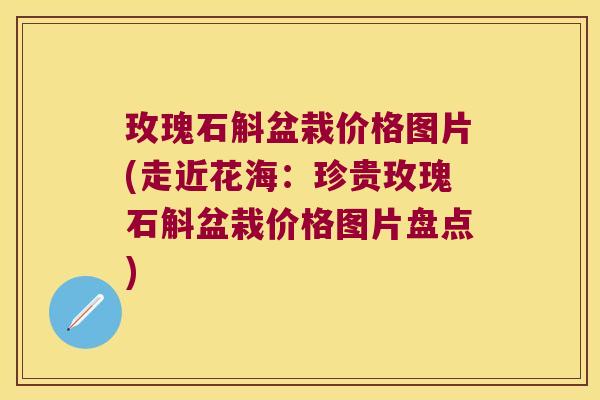 玫瑰石斛盆栽价格图片(走近花海：珍贵玫瑰石斛盆栽价格图片盘点)