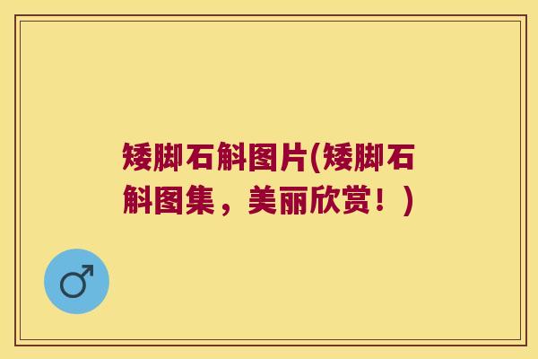 矮脚石斛图片(矮脚石斛图集，美丽欣赏！)