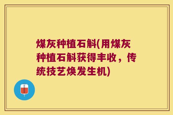 煤灰种植石斛(用煤灰种植石斛获得丰收，传统技艺焕发生机)