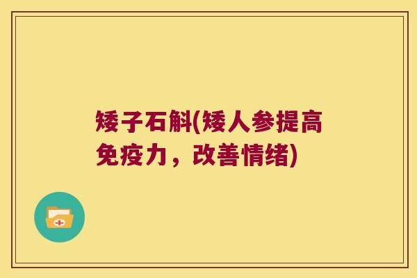 矮子石斛(矮人参提高免疫力，改善情绪)