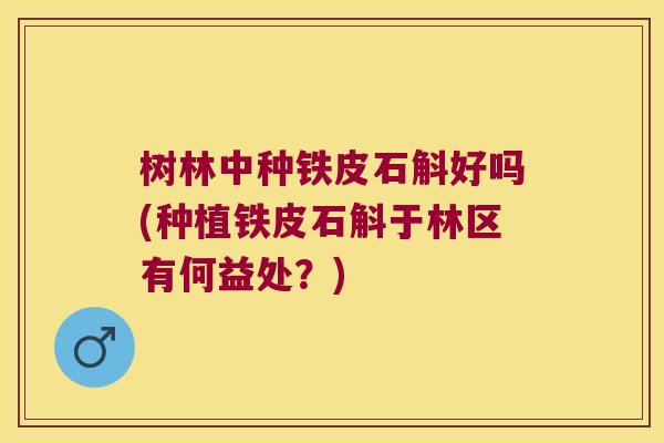 树林中种铁皮石斛好吗(种植铁皮石斛于林区有何益处？)
