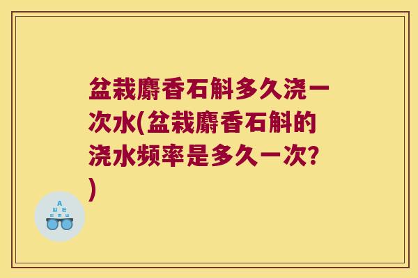 盆栽麝香石斛多久浇一次水(盆栽麝香石斛的浇水频率是多久一次？)