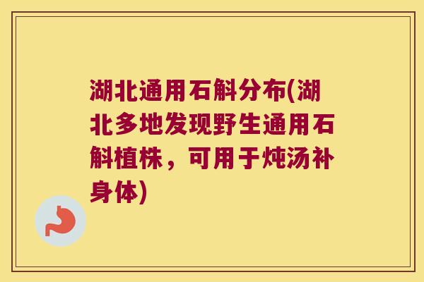 湖北通用石斛分布(湖北多地发现野生通用石斛植株，可用于炖汤补身体)
