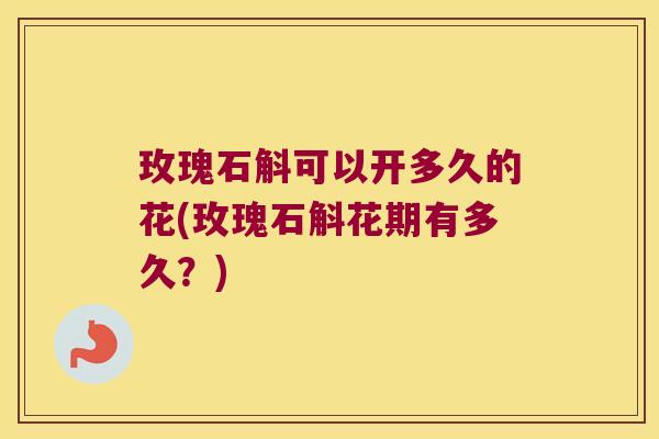玫瑰石斛可以开多久的花(玫瑰石斛花期有多久？)