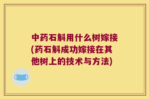 石斛用什么树嫁接(药石斛成功嫁接在其他树上的技术与方法)