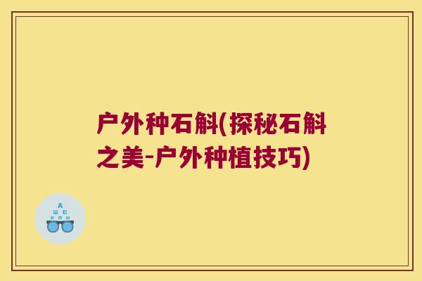 户外种石斛(探秘石斛之美-户外种植技巧)