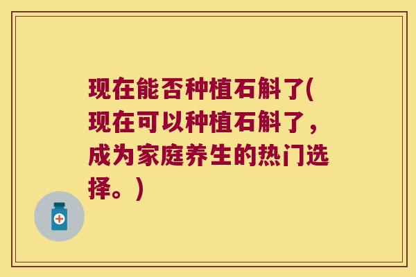 现在能否种植石斛了(现在可以种植石斛了，成为家庭养生的热门选择。)