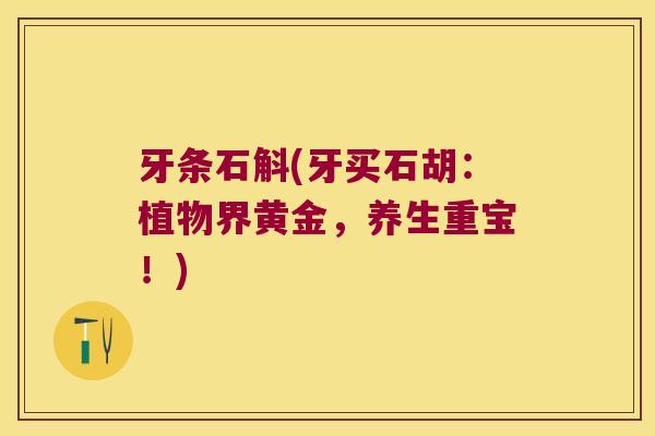 牙条石斛(牙买石胡：植物界黄金，养生重宝！)