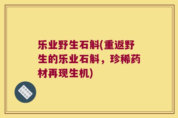 乐业野生石斛(重返野生的乐业石斛，珍稀药材再现生机)