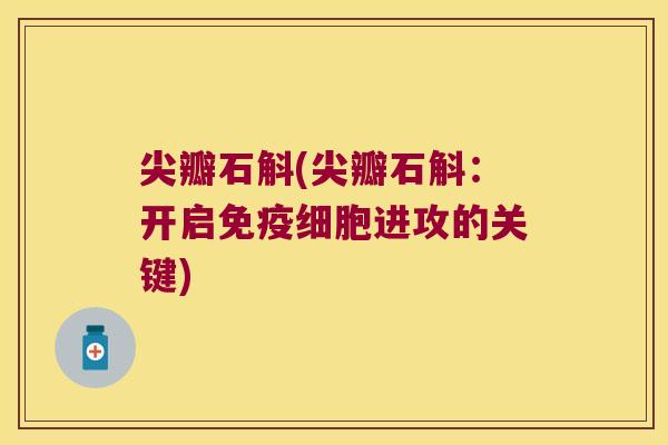 尖瓣石斛(尖瓣石斛：开启免疫细胞进攻的关键)