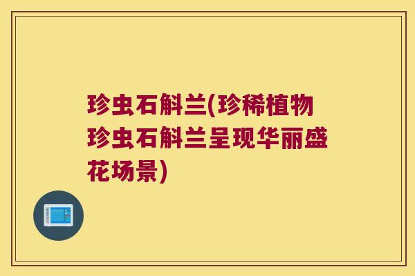 珍虫石斛兰(珍稀植物珍虫石斛兰呈现华丽盛花场景)